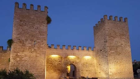 Alcudia Transfers